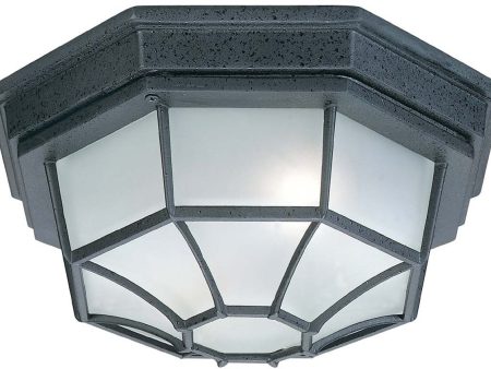 11 W 2 Lamp Outdoor Ceiling Light Rain or Shine - Black For Sale