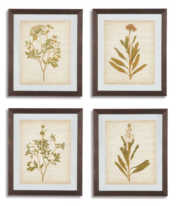 Dyani Wall Art (Set of 4) For Discount