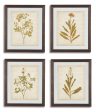 Dyani Wall Art (Set of 4) For Discount