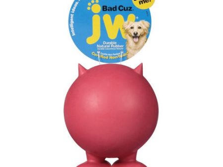 Bad Cuz Rubber Squeaker Dog Toy Large - 5  Tall by JW Pet Online